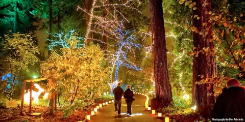 Here Are The 8 Best Christmas Light Displays In Oregon And They’re Incredible