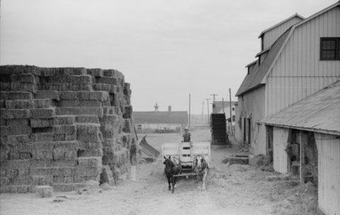 There's Something Special About These 12 Minnesota Farms From The Past