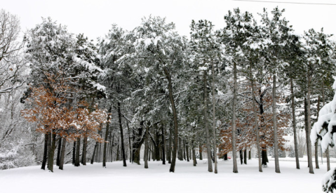 10 Things You Really Hope Santa Brings Minnesota For Christmas