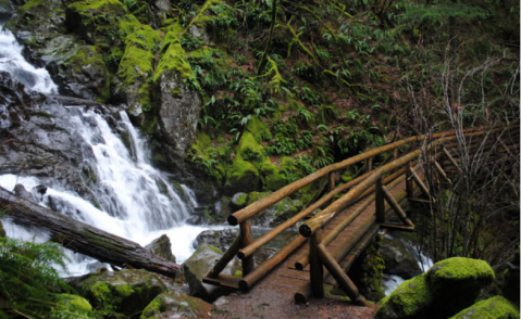 These 10 Hidden Waterfalls In Washington Will Take Your Breath Away