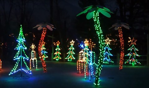 Did You Know The Indianapolis Zoo Offers One of The Best Zoo Lights in the USA?