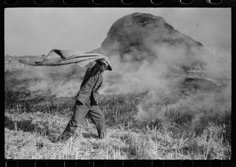 15 Rare Photos Taken in Louisiana During the Great Depression