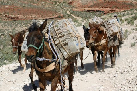 You'll Never Guess How Mail Is Delivered To This Tiny Arizona Town