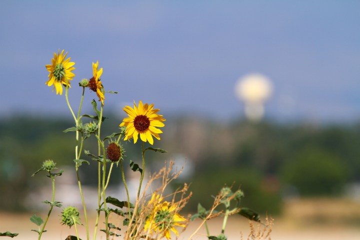 Safest cities in Idaho