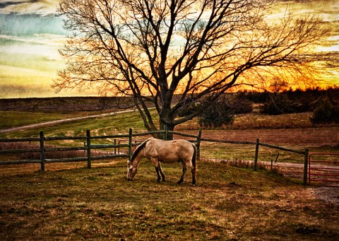 If You Live In Nebraska, You Must Visit This Amazing State Park