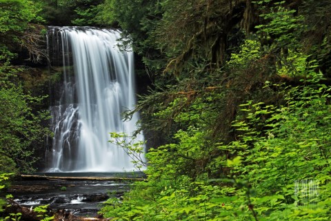 This One Hike In Oregon Will Give You An Unforgettable Experience