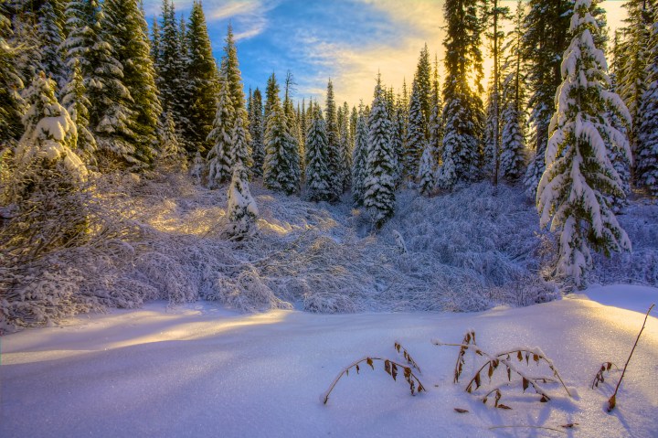 McCall. Idaho in winter