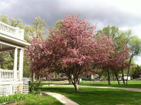 These 4 Bed & Breakfasts In North Dakota Are Perfect For A Getaway