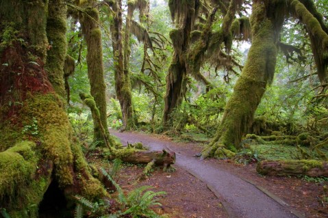 This Hike In Washington Will Give You An Unforgettable Experience