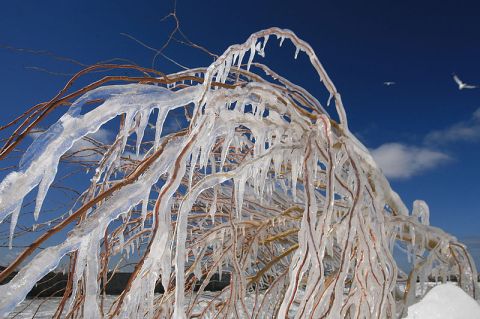 What The Freezing Cold Just Created On Lake Erie Is Majestic