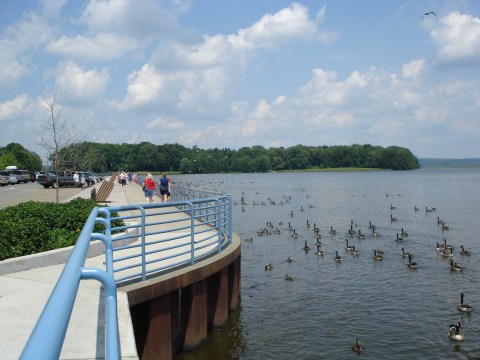 Ducks Walk On Fish At The Oddest Attraction In Pennsylvania