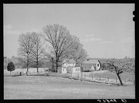 There's Something Special About These 18 Virginia Farms From The Past