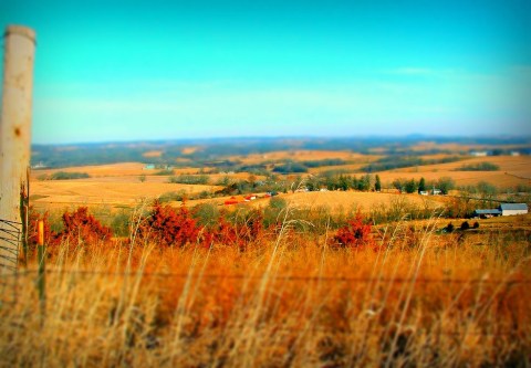 These 10 Breathtaking Views In Illinois Could Be Straight Out Of The Movies