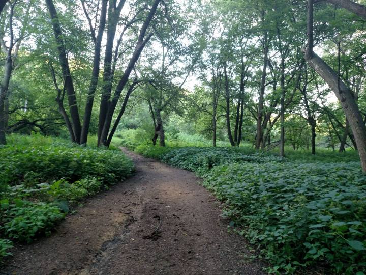 Newton Hills State Park