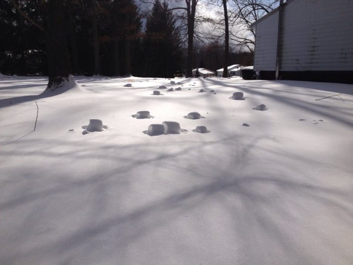 Snow Rollers in Idaho