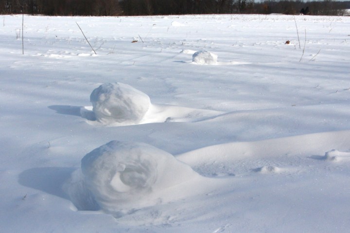 Idaho Snow Roller