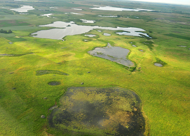 Sand Lake Wildlife Refuge