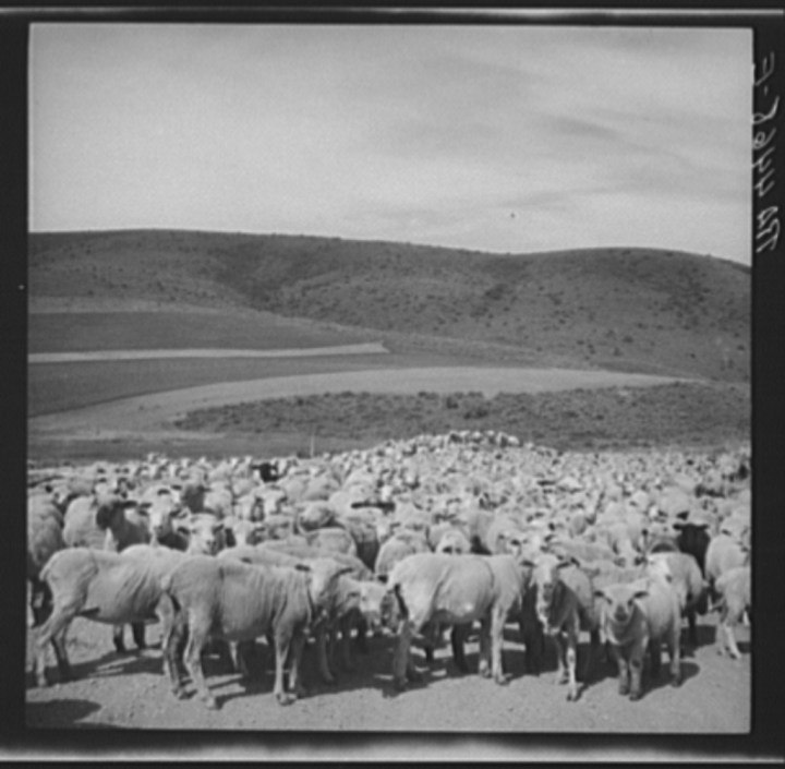 Idaho History: 1930's