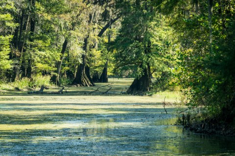 Everyone In Georgia Must Visit This Epic Natural Spring As Soon As Possible