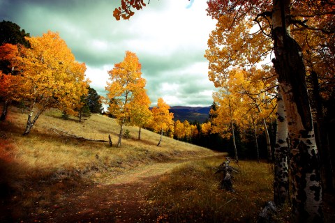 If You Live In Colorado You Must Visit This Amazing State Park