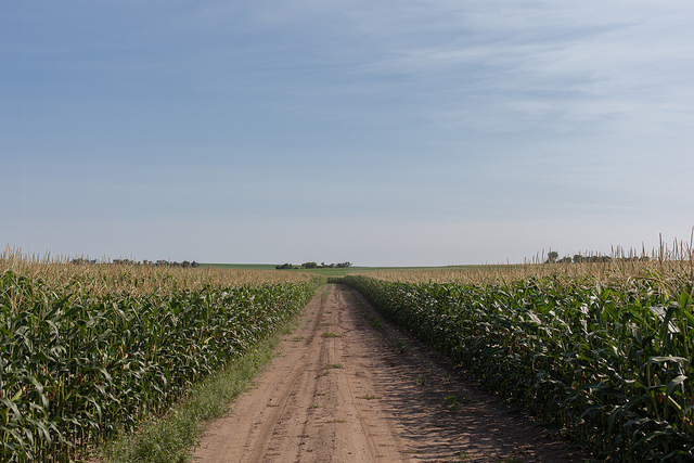 South Dakota only consists of corn fields.