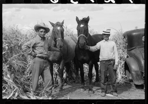 There's Something Special About These 15 Arizona Farms From The Past