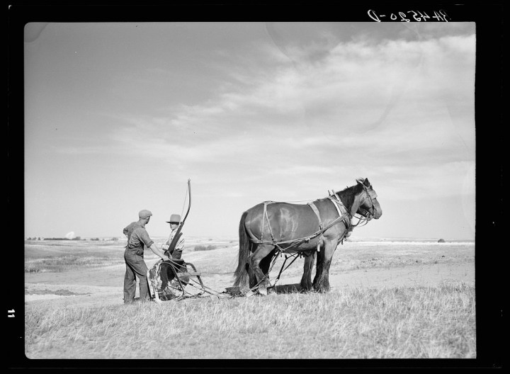 Men and horses working on the stock water dam.