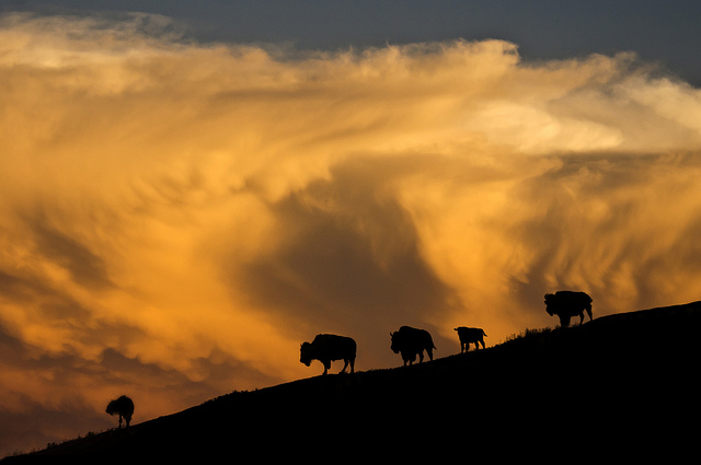 Stunning sunset in south dakota