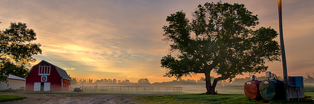 Foggy sunrise in South Dakota.