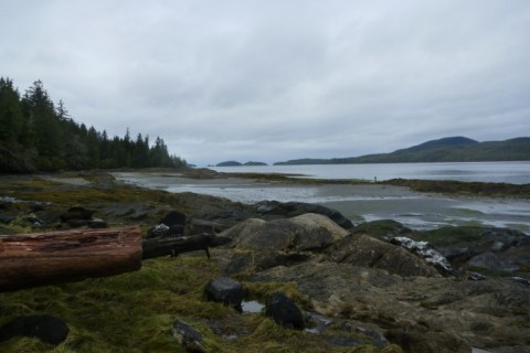 Everyone Should Visit These 7 Beautiful Underrated Alaskan Parks