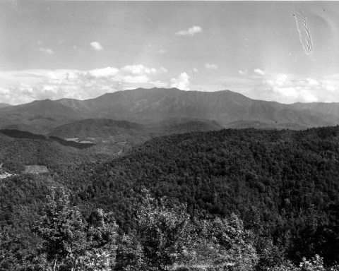 These 15 Photos of Tennessee In The 1960s Are Mesmerizing