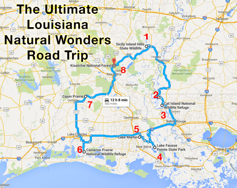 The Ultimate Louisiana Natural Wonders Road Trip Is Right Here—And You'll Want To Take It