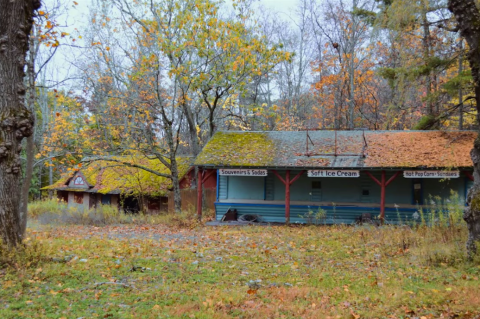 Everyone In New York Should See What's Inside The Gates Of This Abandoned Zoo