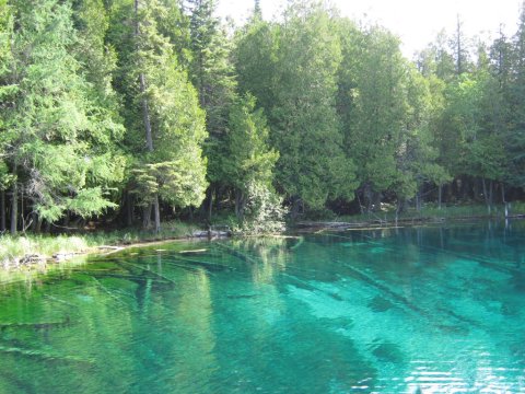 Everyone in Michigan Must Visit The Stunning Natural Spring At Palms Book State Park