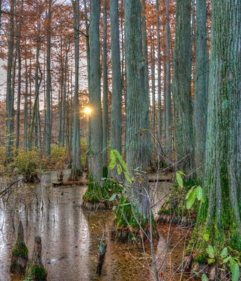 This Jaw Dropping Place In Illinois Will Blow You Away