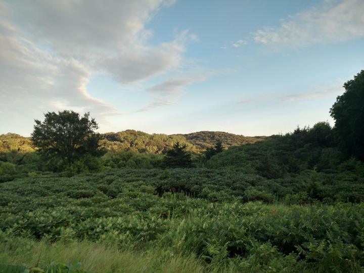 Newton Hills State Park