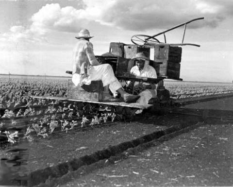 There's Something Special About These 25 Florida Farms From The Past