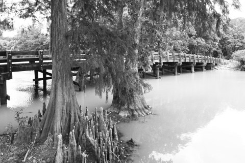 These 11 Beautiful Small Bridges In Louisiana Will Remind You Of A Simpler Time