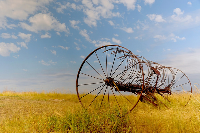 On the prairie