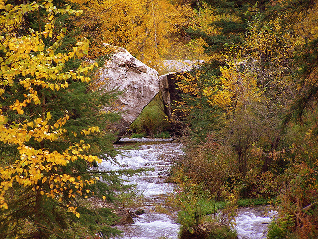 South Dakota banner image