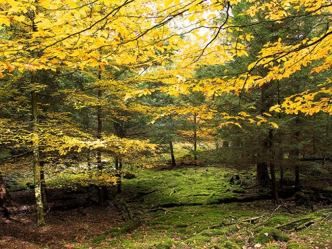 If You Live In Pennsylvania, You Must Visit This Amazing State Park