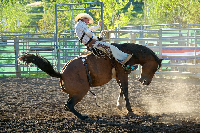 rodeo rider