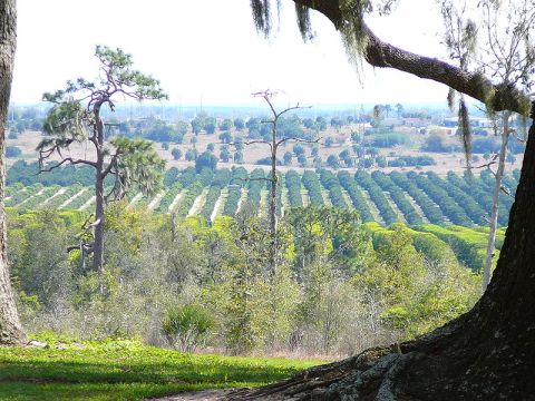 This Epic Hill In Florida Will Drop Your Jaw