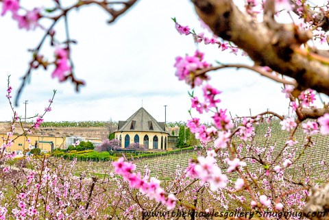 14 Undeniable Signs That Spring Is Almost Here In Idaho