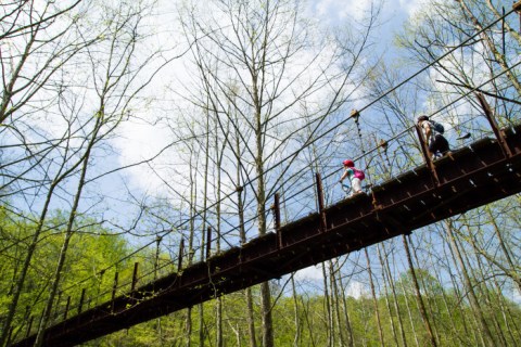 This Terrifying Swinging Bridge In Maryland Will Make Your Stomach Drop