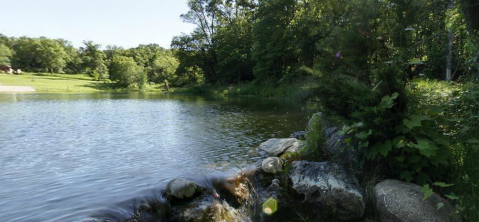 Everyone in Minnesota Must Visit This Epic Natural Spring As Soon As Possible