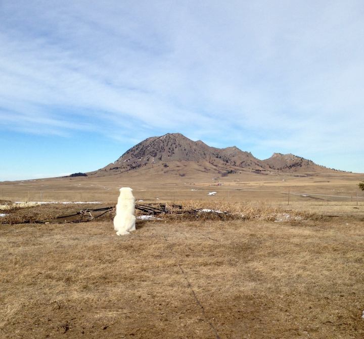 Bear Butte