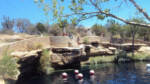 Everyone in New Mexico Must Visit This Stunning Natural Spring As Soon As Possible