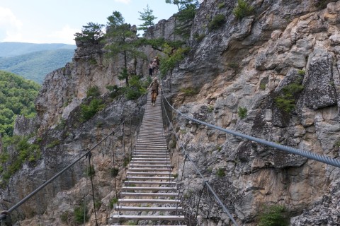 This Terrifying Foot Bridge In West Virginia Will Make Your Stomach Drop