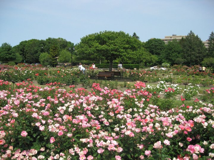 beautiful gardens